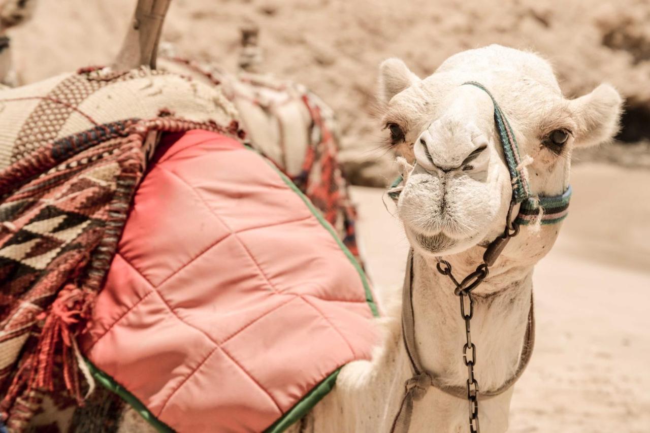 Marsa Shagra Village Abu Dabbab Bagian luar foto